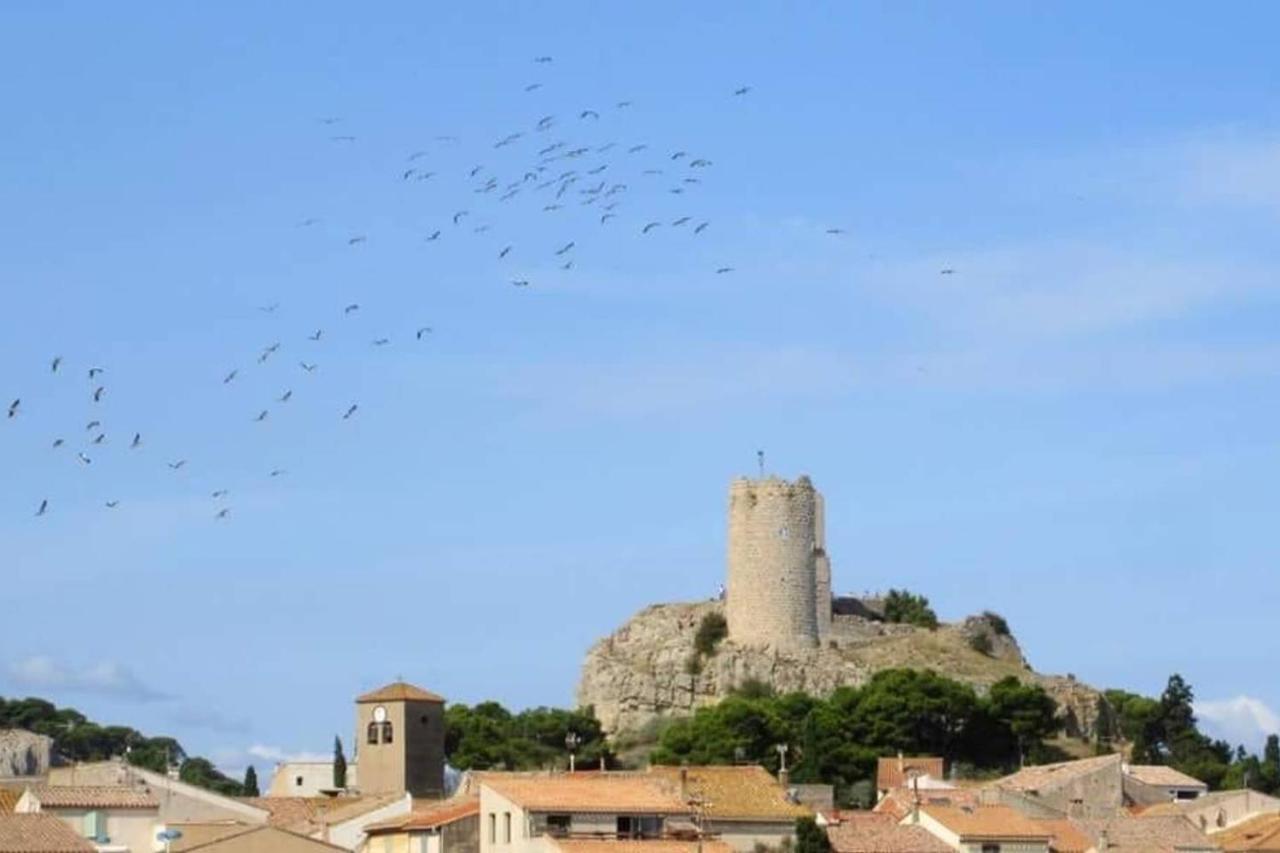 Apartment Sur Le Port, Climatisation, Wifi, Piscine, Lave-linge Gruissan
